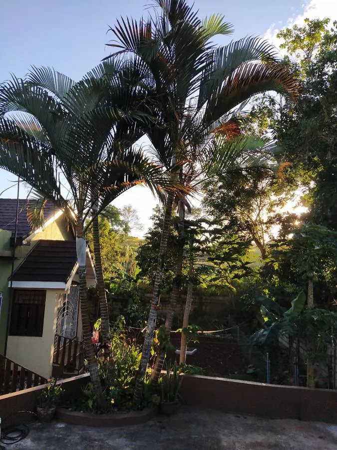 Gables Vacation Rentals With Private Gated Parking Onsite Knockpatrick Apartamento